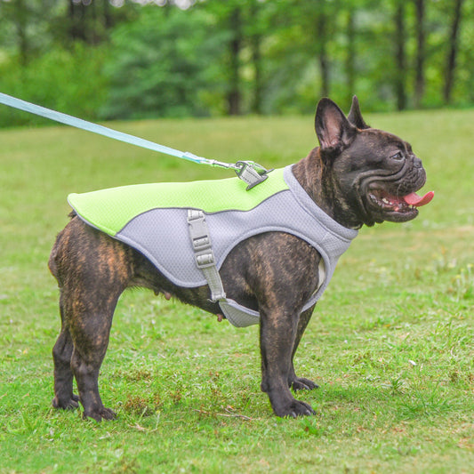 Gilet rinfrescante per cani